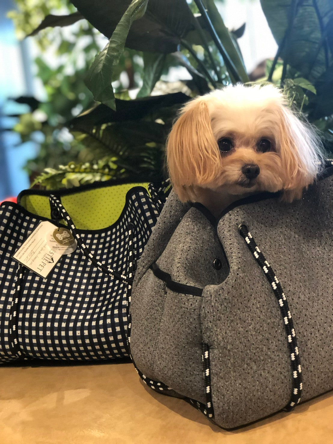 小型犬用キャリーバッグ