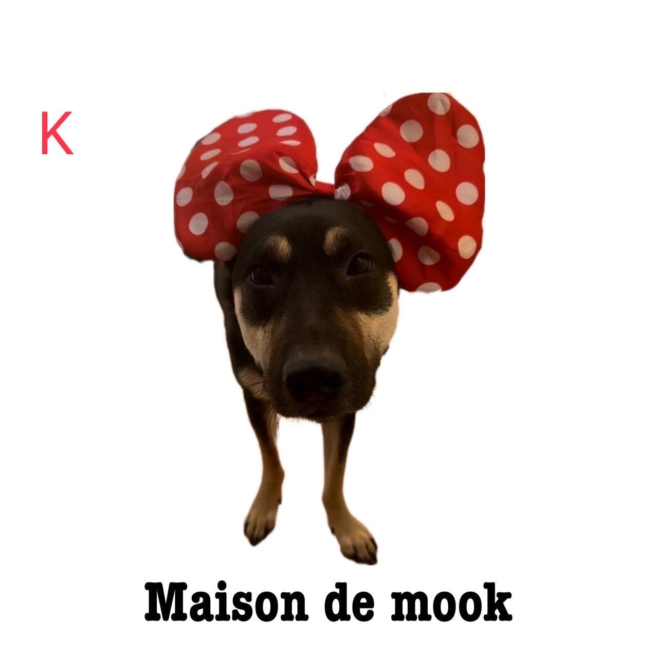 オリジナル 白×黒 バイカラートートM